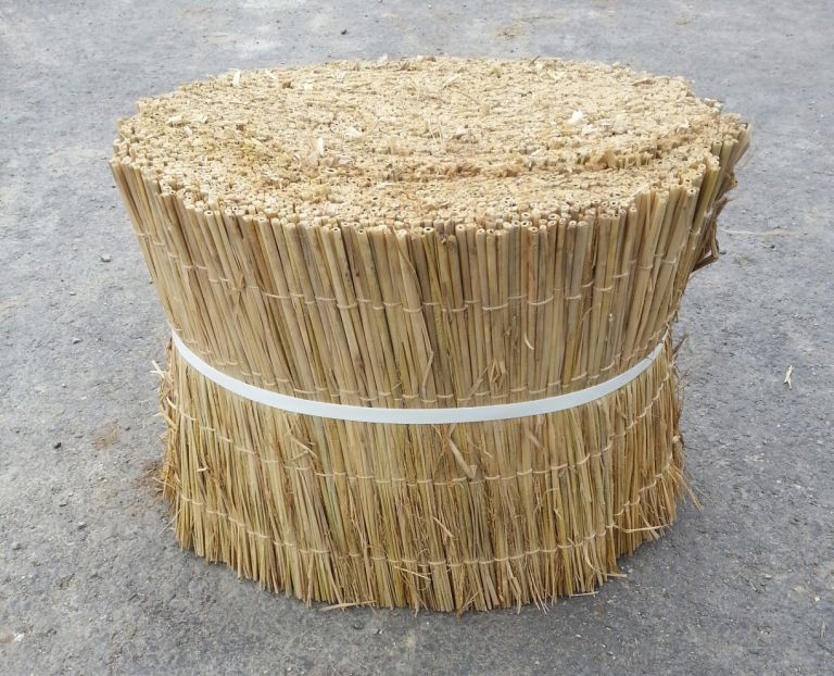 잠복소(30cm)